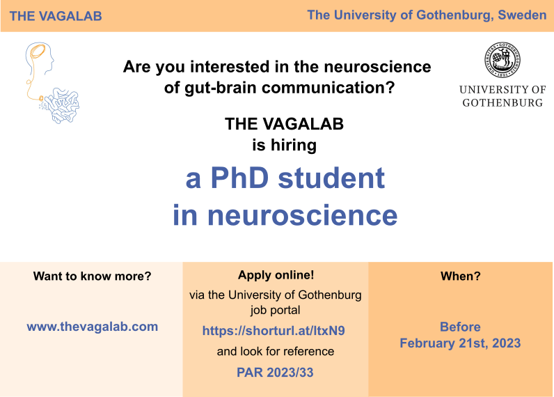 Job alert 🚨: The VAGALab at the University of Gothenburg 🇸🇪 is recruiting a PhD student!!!

The project will focus on the neuroscience of gut🔁brain communication, how it controls eating and more! 
👩‍🔬The lab: thevagalab.com
👉APPLY: shorturl.at/ltxN9 (PAR2023/33)
