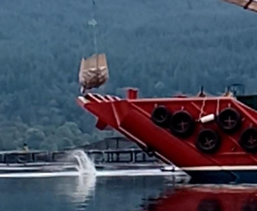 Gotcha!  The Scottish Salmon Company/Bakkafrost @Folketrygdfond caught on camera breaching biosecurity in Loch Carron 
vimeo.com/601301302
"Large biomass mortality removal procedures allowed a breach of mortality containment" reported <a href="/scotgov/">Scottish Government</a> @marinescotland <a href="/ScotlandSalmon/">Salmon Scotland</a>