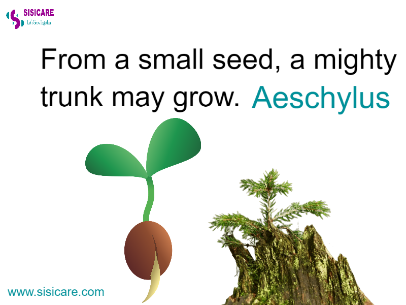 sisicare's tweet image. 🌹 From a small seed 🌱, a mighty trunk may grow 🌳. Aeschylus

🔴 Please retweet: 🥰

| #sisicare Kanairo Transformation #PaySiiToMpesa Sandra Uhuru Joe Mucheru Ndii Gor Mahia Surgeon&apos;s Diary Tsitsipas #MainaAndKingangi |