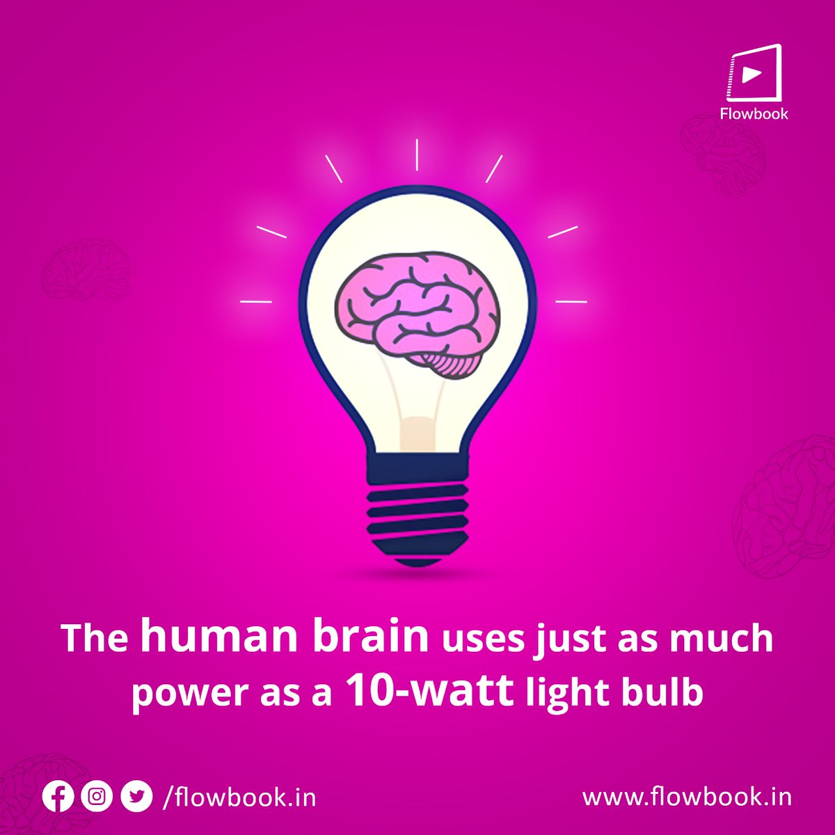 FlowbookIn's tweet image. The brain generates as much energy as a small light bulb even when one is sleeping and this is only from the usage of 4% of the brain cells. 

Imagine what a human could have done if the brain worked at full capacity!

#Flowbook #DidYouKnow #FactOfTheDay #Brain #Science #Facts