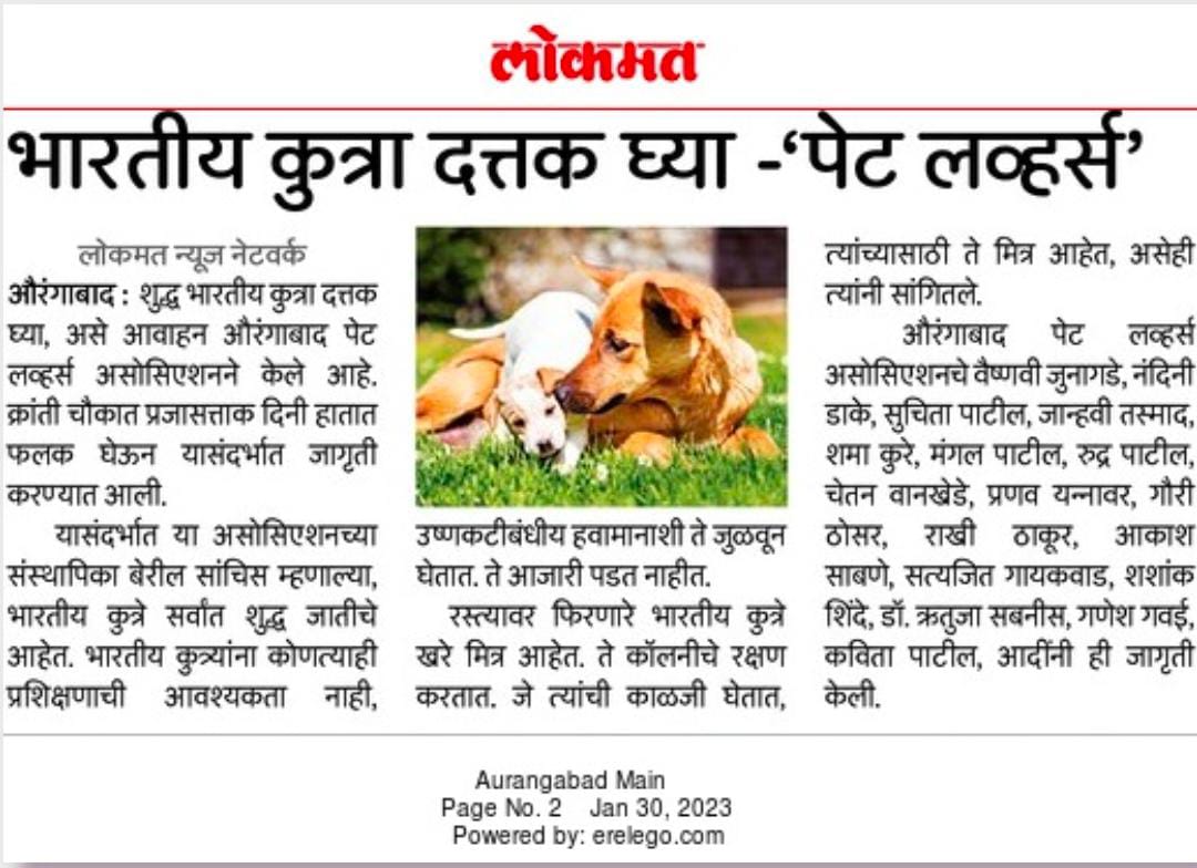 #Adopt a #desidog #aurangabad 

#AdoptDontShop #DogsOnTwitter #puppy #shelter