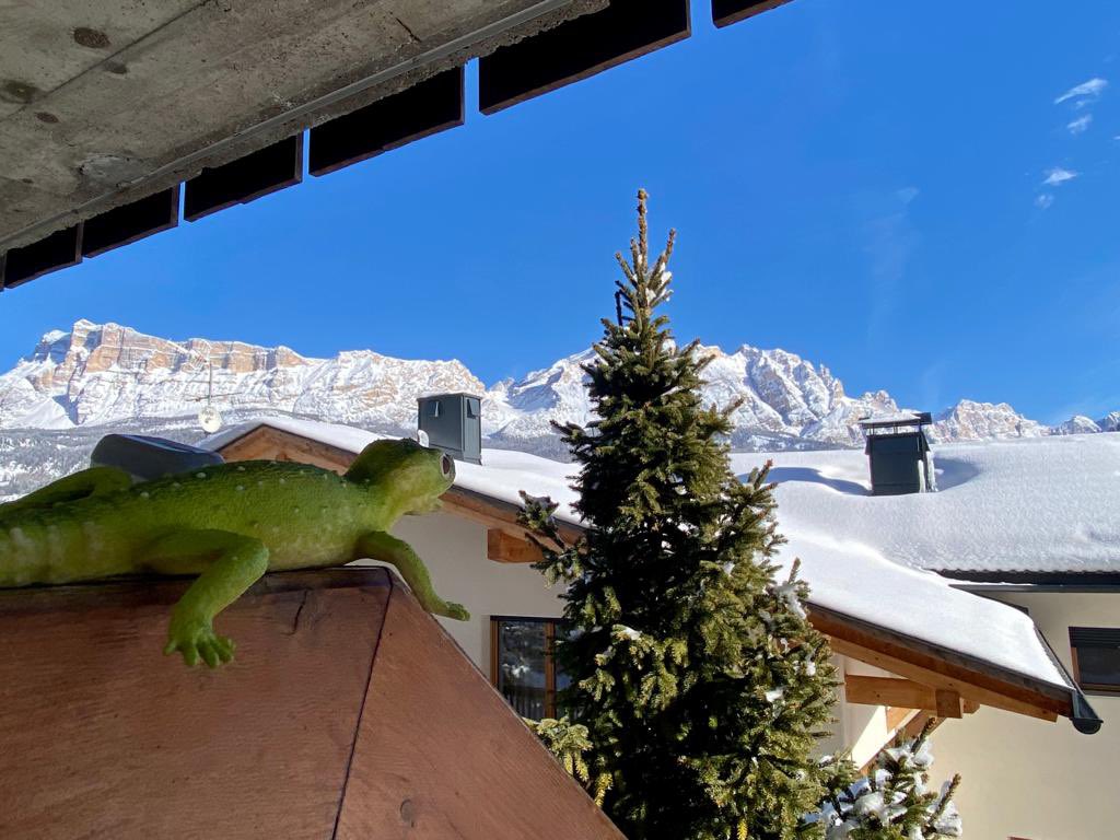mrgreenlizard's tweet photo. Labrīt no LaVilla! Beidzot izlīdu kaut kur tālāk. No kura jumta lai nošļūk lejā? 😂🇮🇹🦎#Italy #lavilla https://t.co/MQb8HyA1r9
