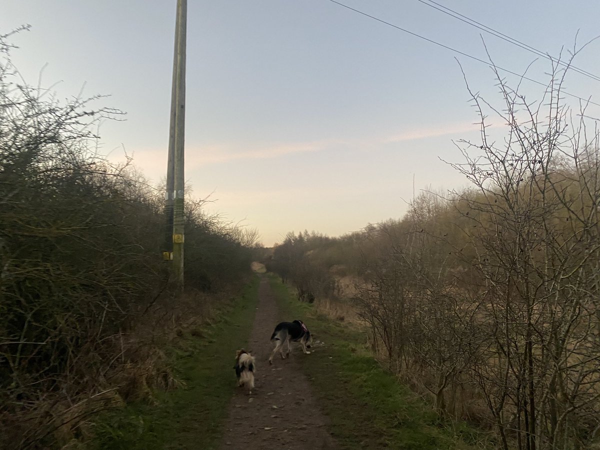 Great start to the day to get the blood pumping before a busy day of meetings and a great start to the week #greensocialprescribing #winterwalks #RescueDogs #Hartlepool