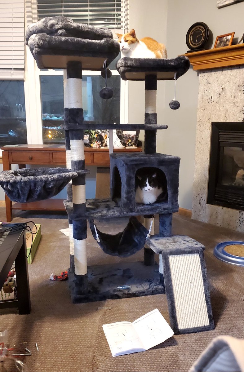 We helped Mom put together the kitty condo #Linus #Lucy #kittyloafmonday