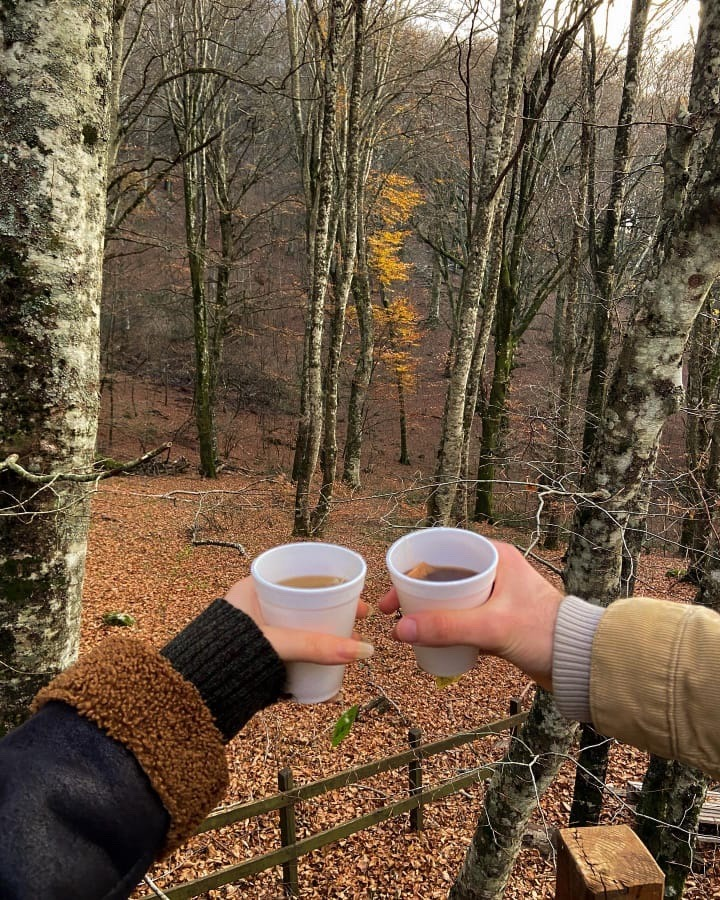 Terapi gibi ortam ...