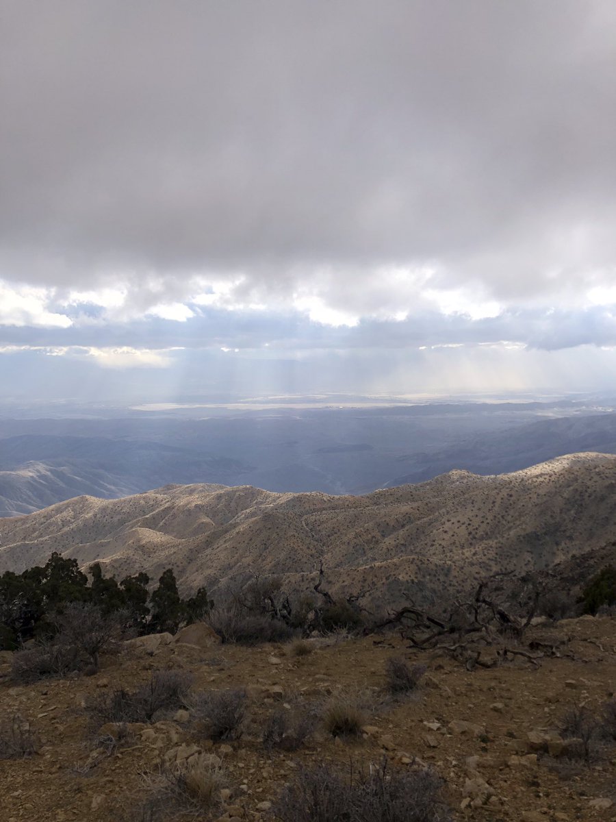 ZacharyObama's tweet photo. I hope everyone had a great Sunday! Pretty blustery day out in #JoshuaTree but hardly a sprinkle in those clouds, we’ll see about tomorrow. There is no sign at Keys View for Inspiration Peak and the colors at Split Rock were thankfully on point. #JTree #Photography #Desert 🏜️💨📸 https://t.co/gt2NiO7Eh9