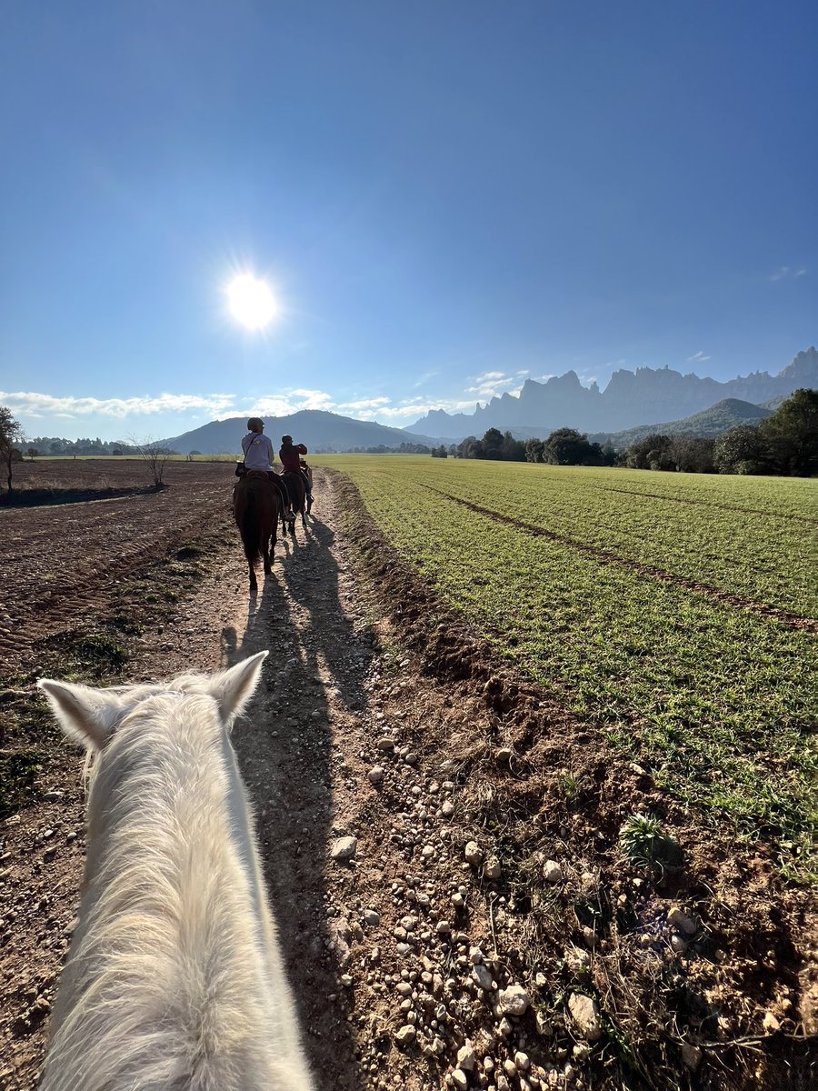 d_blanx's tweet photo. We went sliding on some horses today https://t.co/zNthNeDmNB