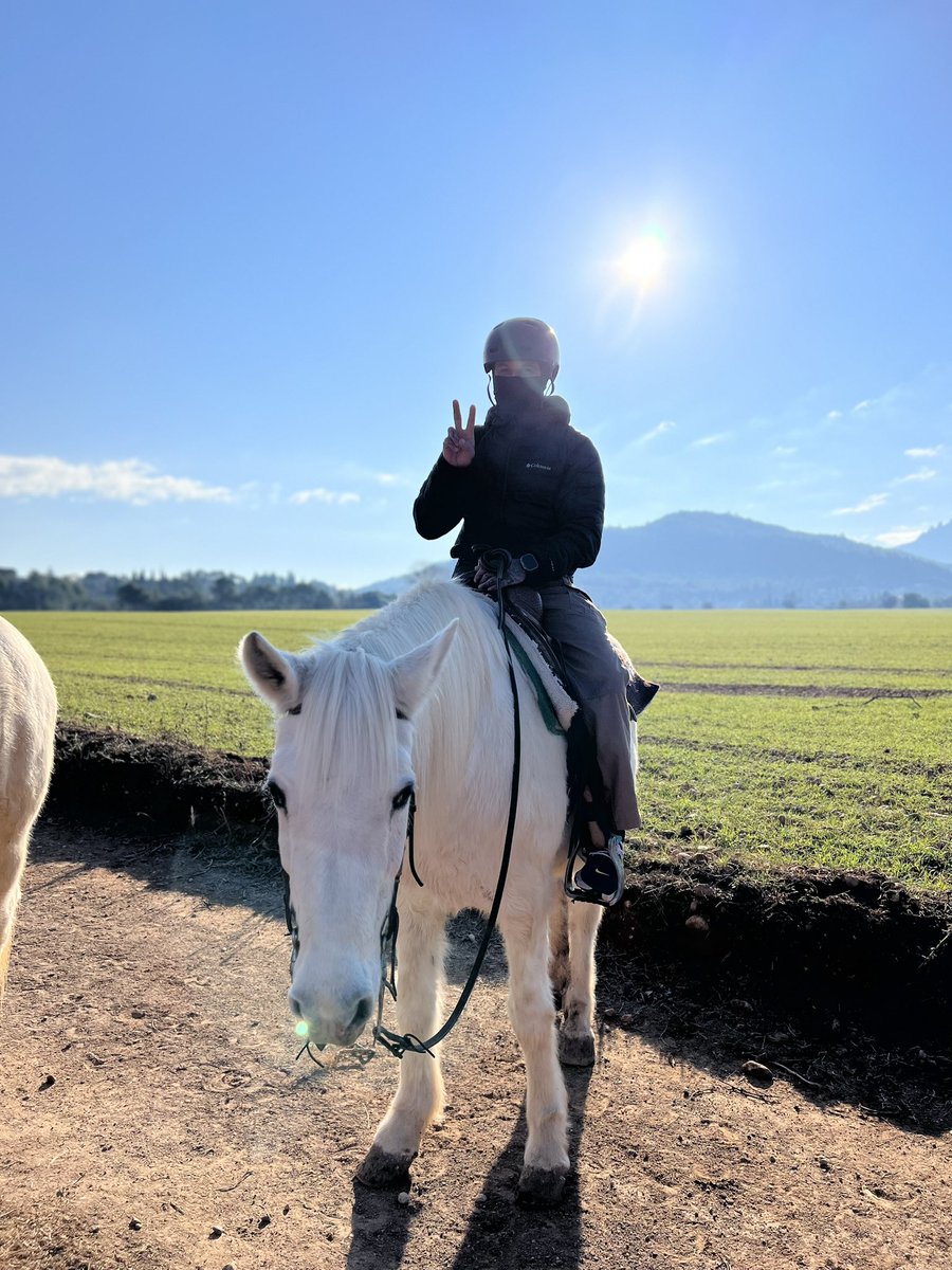 d_blanx's tweet photo. We went sliding on some horses today https://t.co/zNthNeDmNB