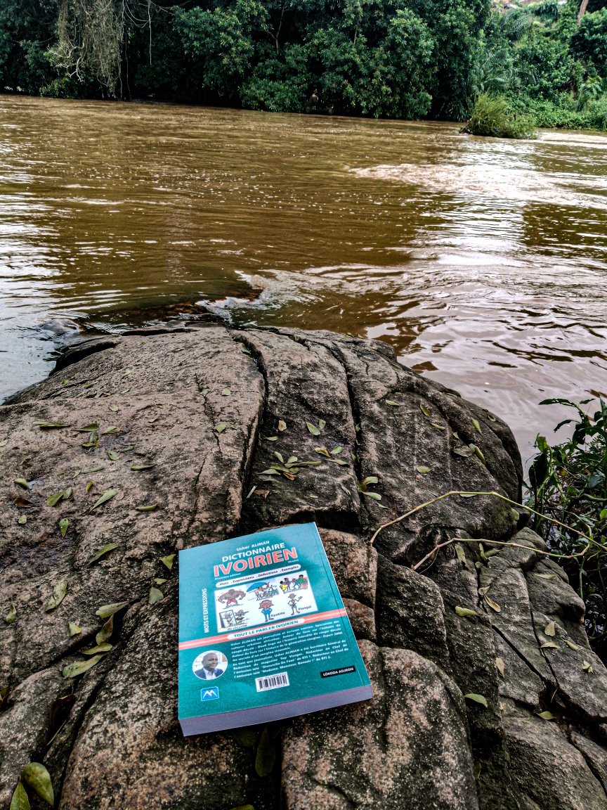 Un voyage, un séjour, une installation en Côte d'Ivoire ?
Tout le parler ivoirien, tout le vocabulaire indispensable pour pouvoir tenir une conversation en Côte d'Ivoire ... DICTIONNAIRE IVOIRIEN ILLUSTRÉ

#CIV225
#patrimoine225
#cotedivoire
#LireLaCôtedIvoire
#LaCôtedIvoireDeAàZ