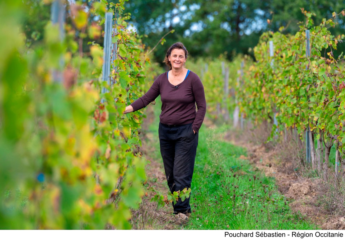 Occitanie's tweet photo. L’#Occitanie en pole position sur la #bio 🥇
À la fois 1re en France &amp; Meilleure Région bio d’Europe, elle rafle tous les trophées. Et pour conserver son avance, un nouveau #PlanBiO sera voté en mars !
➕  https://t.co/YYTcC85mBF
_
#MillésimeBIO2023 https://t.co/uMfg8Ndp94