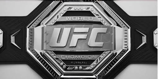 WonderbreadMMA's tweet image. All interim title winners should get a silver belt.