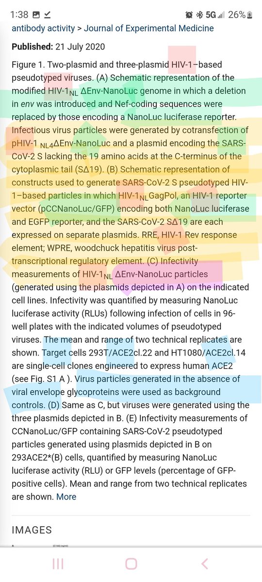 rupress.org/jem/search-res…
#COVID19 #VaccineSideEffects #luciferase #SARS #SARSCoV2 #HIV #ENV #Nanolucparticle #Nanotech #ACE2receptor #jem #research #RockefellerUniversity #nefcoding #infectiousvirus #COVIDIsAirborne #VaccineAIDS #experimentalmedicine #Chimericvirus #PfizerGate