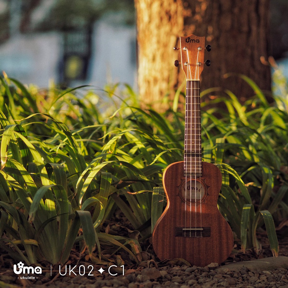 Uma UK02-C1 ukulele 🫶
#umaukulele #ukulele #uke #uku #ウクレレ

umaukulele.com