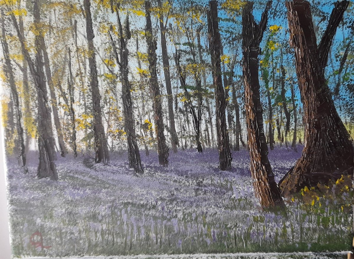 Jabquick's tweet photo. Bluebell woods https://t.co/6qwCdk4GW4