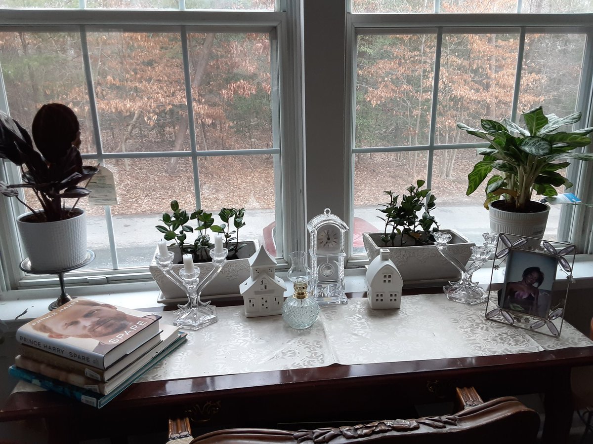 #SparebyPrinceHarry found a perfect spot with Maya Angelou poem collection in my reading book looking out the window. #cottagehomes #cottagestyle #cottagegarden #homedecor