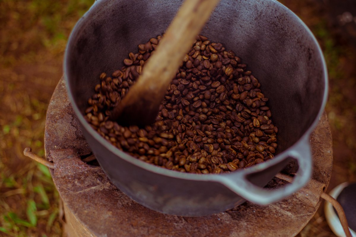 Explore Elgon with us and experience culture with our unique experiences, like the Bugisu Arabica Coffee Tour...
#exploreelgon #thingstodoinmbale 😎