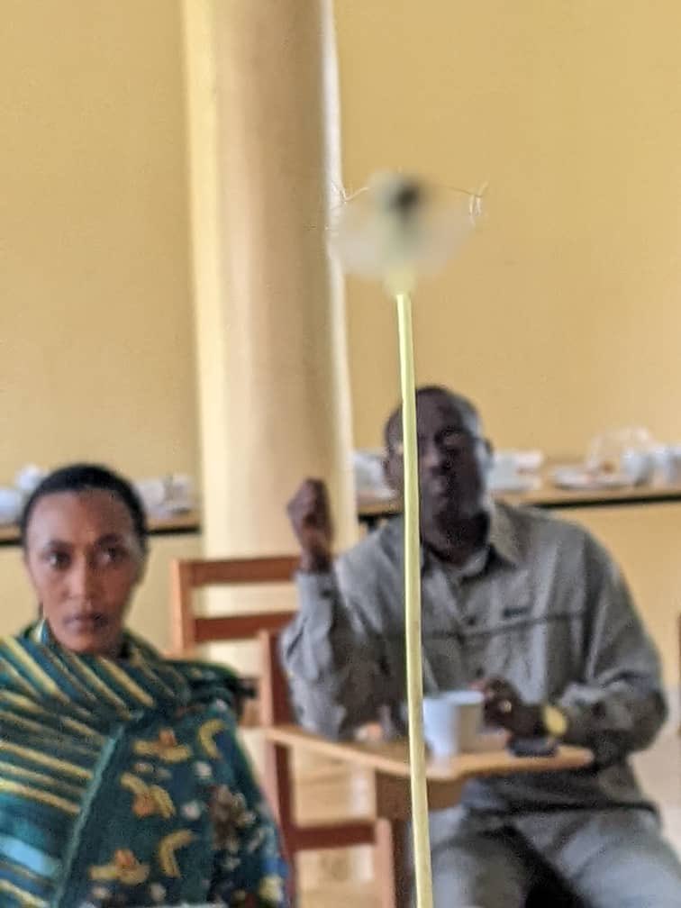 Diving into #Biodiversity and its role in natural healing. Here, #ApollinaireWilliam giving example how some plants can be used to cure certain ailings and they are “scientifically proven”, he says.
