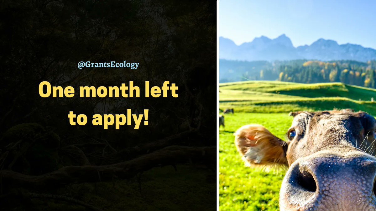 GrantsEcology's tweet photo. 📢 Less than a month left to apply for the Research Grants from International Primatological Society - IPS.  Apply for up to $2000.  Deadline: 2023-03-01

🔗 https://t.co/wj9aRskesR

Please RT

#AcademicTwitter @PhDVoice https://t.co/MePkybpGqO
