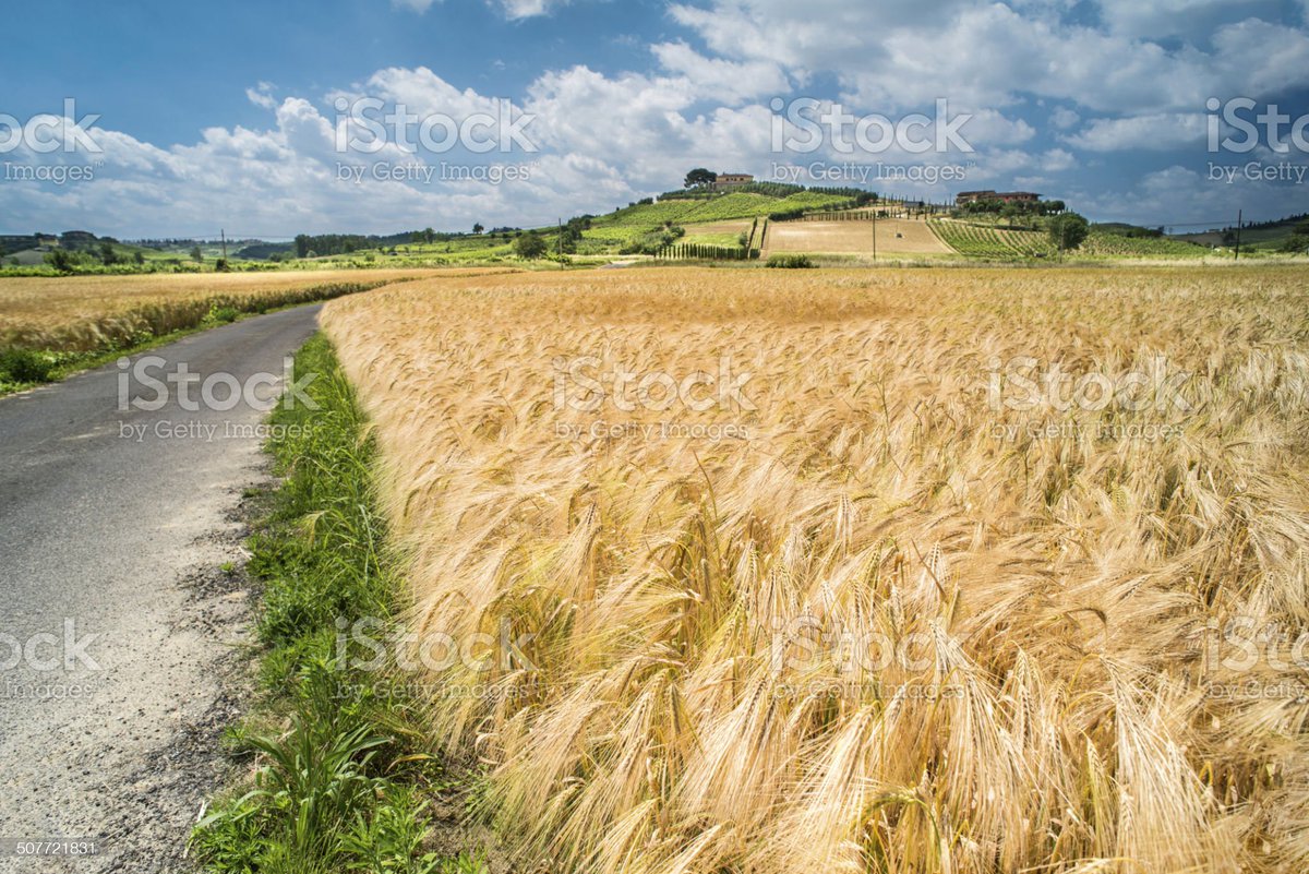 Vous avez une thèse ? Vous êtes intéressé par la durabilité des systèmes d'élevage, l'intégration cultures/élevage, la circularité et les systèmes alimentaires ? Ce poste est fait pour vous !

jobs.inrae.fr/concours/conco…