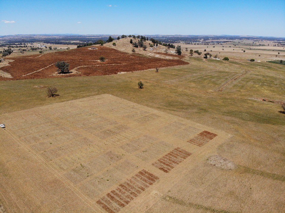 JoshDriver9's tweet photo. Summer trials progressing well (did not consider how hot spray suits are when I went down the applied research path🤦😂) Won’t be long until winter trial are here, hopefully a big year (and a average year🤞) ahead. https://t.co/zSBuWKYOGQ