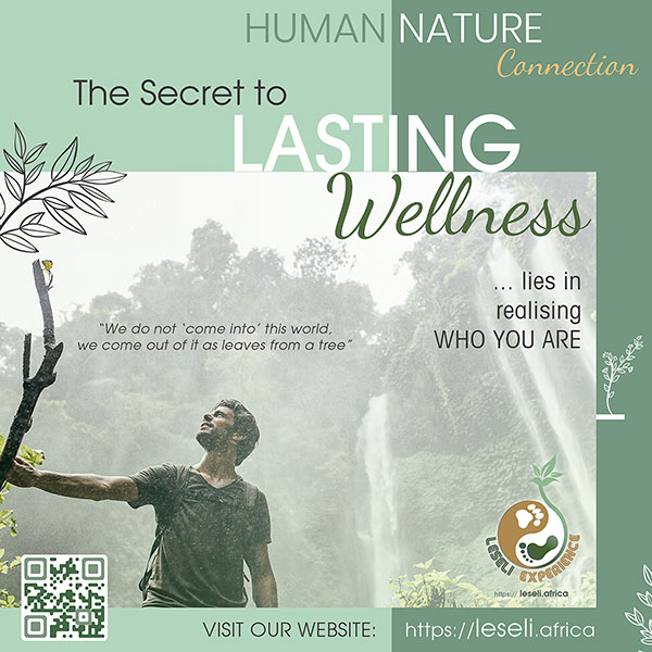 🌿 Human Wellness ☀️ - mailchi.mp/3e5744d88294/l…