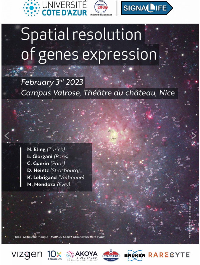 RareCyte's tweet photo. Pleased to be presenting at #SignaLife Spatial Resolution of Genes Expression conference @Univ_CotedAzur on Feb 3rd!
Check out Dr. Coralie Gerin @institut_curie and @MickaelMeyrand’s presentations featuring our #spatialbiology technologies!
https://t.co/XUdlJTFJIN https://t.co/S9wr2u9iHX