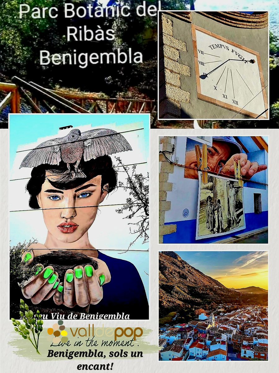 Gatinvisible's tweet photo. @lasprovincias @valenciabonita_ Avui a #Benigembla a la #MarinaAlta, #ValldePop 🥰 @turismovalldpop @alicanteturismo #Alicante @PepinoAcn @MuntanyaV @diumengedeserra @SerraAmunt @Basseta @costablancaorg @CANFALIma @levante_emv @lasprovincias https://t.co/WZlAOmJm8g https://t.co/HhxmLSnqTV