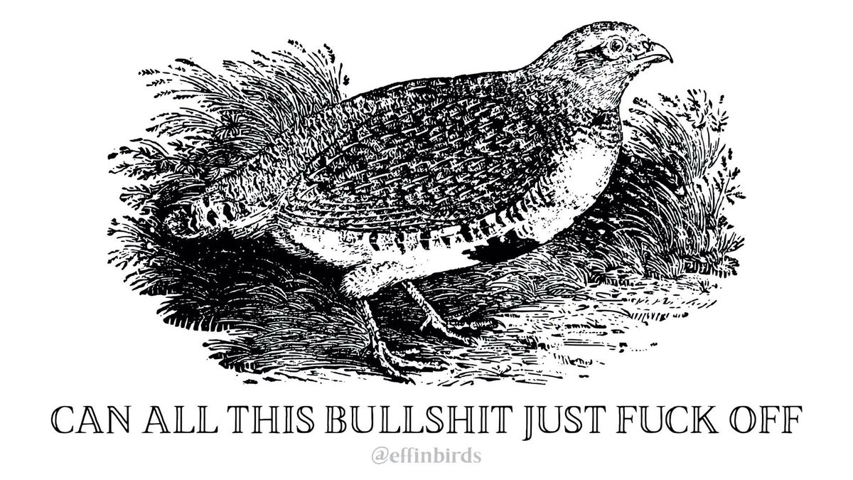 EffinBirds's tweet photo. https://t.co/TSQZ0XUHa6
