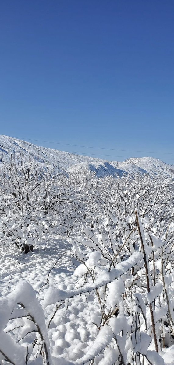 Directorate of Tourism, Balochistan tweet media