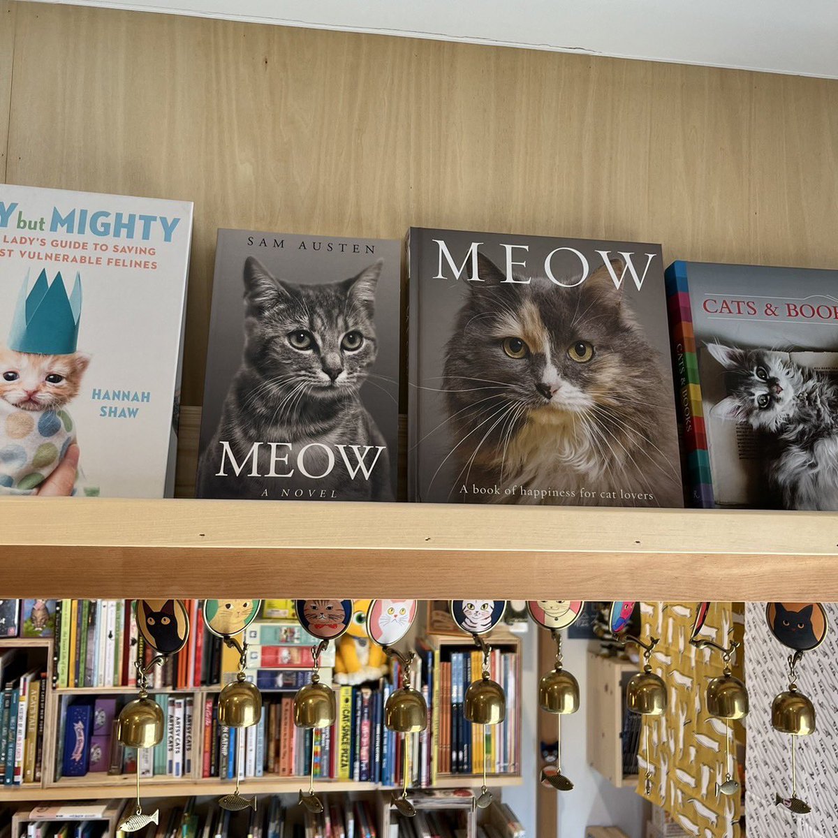 necoyabooks's tweet photo. 😹📚
猫の鳴き声は英語で「meow」です。
『MEOW』という小説の表紙の猫に一目惚れしました。
後ろの表紙に書かれているレビューに「meow meow meow...」しか書いてなかったので、もしかして⁉️と思って本を開いたら、えっ⁉️⁉️⁉️😹
猫に読んであげて反応をみてみたくなりました。🤣🤣
#meow
#samausten https://t.co/FPu6si8o7y