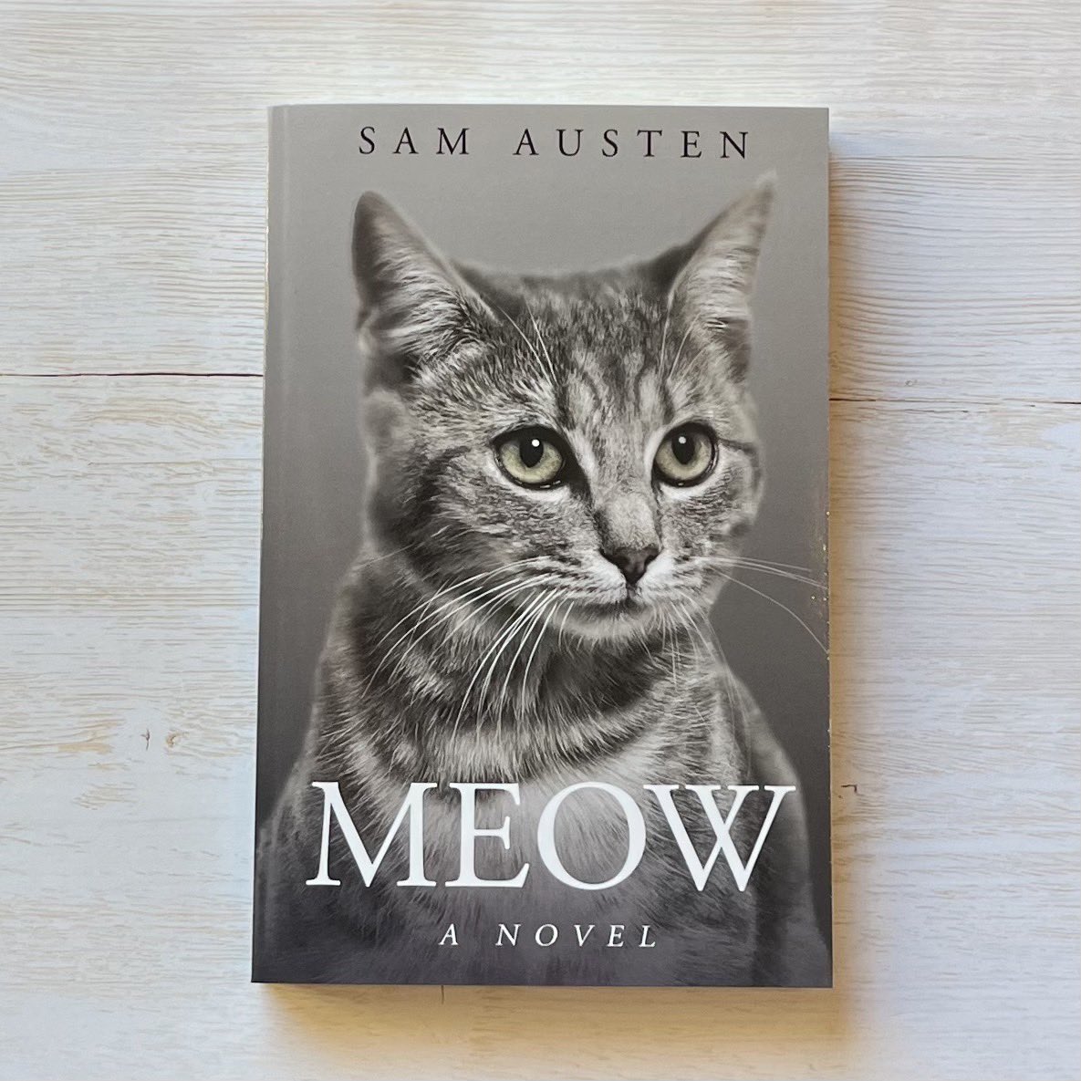 😹📚 猫の鳴き声は英語で「meow」です。 『MEOW』という小説の表紙の猫