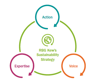 📢HIRING - Please share ⚡️ 
An exciting opportunity to join #Kew's Sustainability team as an Energy Manager! 

More info here or get in touch if you have any questions: careers.kew.org/vacancy/energy…