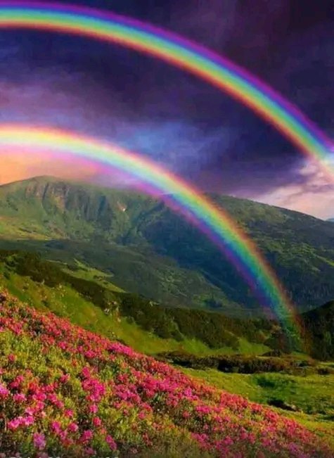 According to the New prophetic wisdom we are coming with an article on the blood in one of the dubble rainbow ??? What does the blood in one of the dubble rainbow mean in the events of God