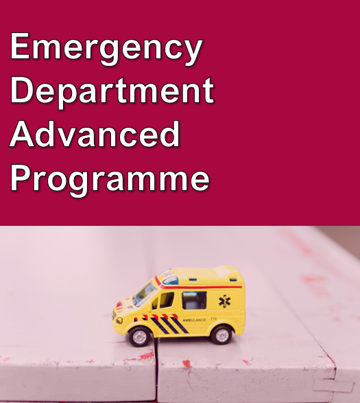 UHS Education Team - Division B tweet media