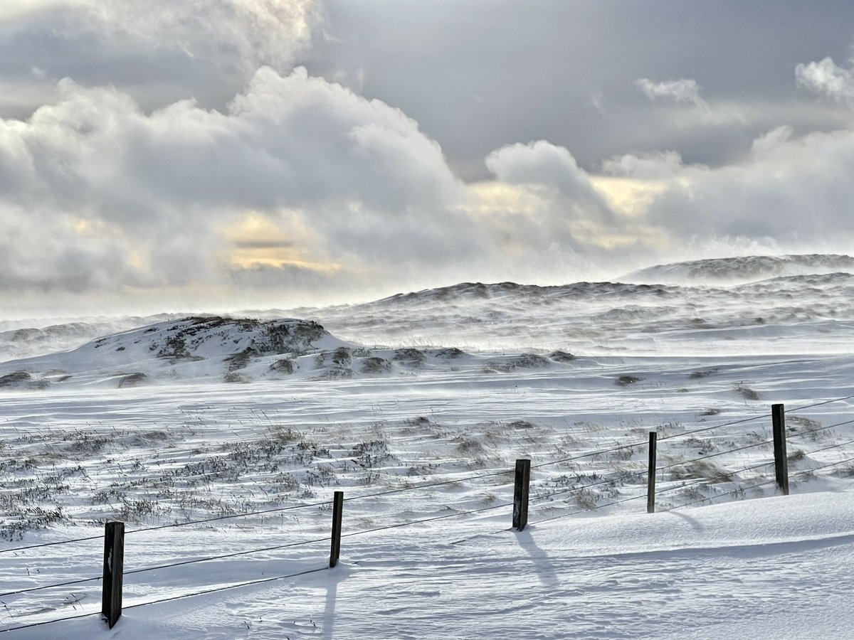 ilona_turnbull's tweet image. Looking forward to being at @Mountain_Scot’s #ThinkWINTER talk @CraigdonMS in Edinburgh at 7pm on 1 Feb with @AJWalker73. Come and chat to us! #WalkClimbSki #Corbetts #Munros #Winter #Hiking #Scotland