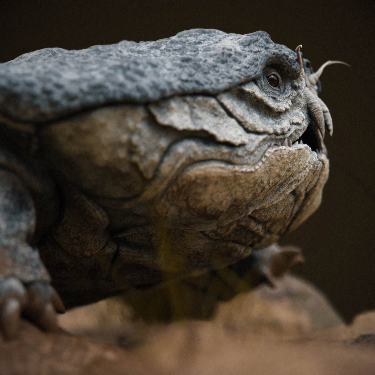 One of my old #creature #design, the Cancericatus Fluvialitis. #artstationhq link: artstation.com/artwork/PmBdmr
made with #zbrush and #substancepainter