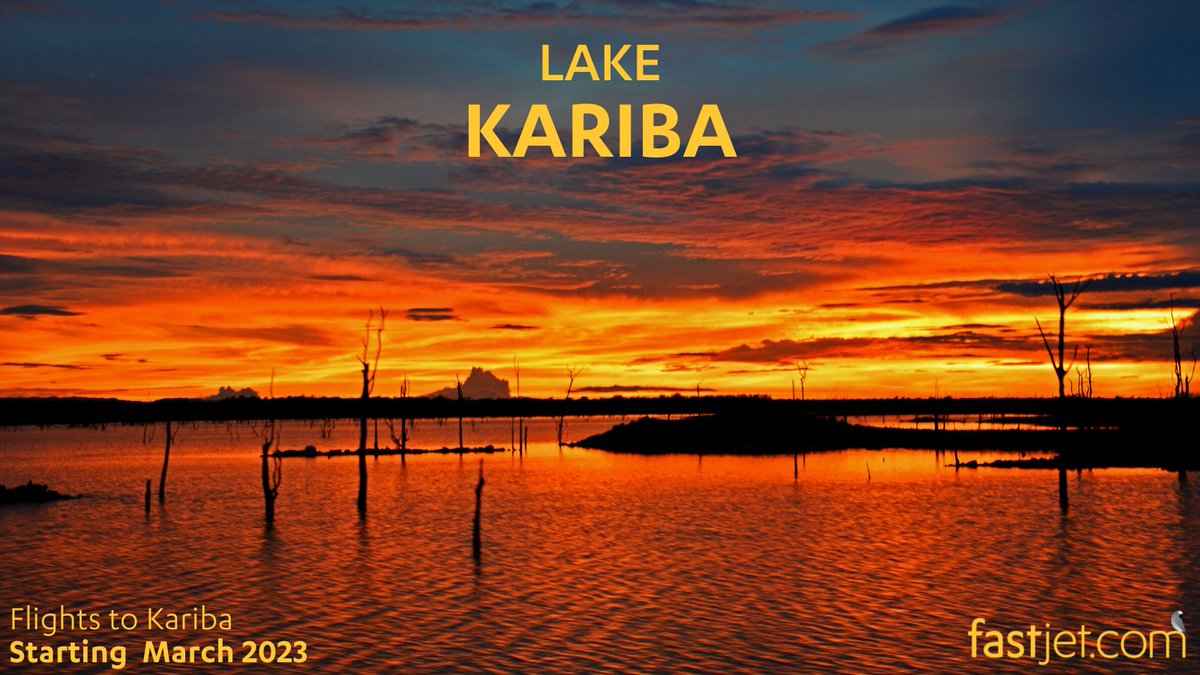 Scheduled flights to #Kariba from #Harare & #VictoriaFalls available from MAR23. Book now via the fastjet website, or download our app and enjoy 5% discounted fares when you book via the app.
#LakeKariba
#fastjetForEveryone
#fastjetApp
#Safari
#ZambeziRiver
#Fishing
#SouthAfrica