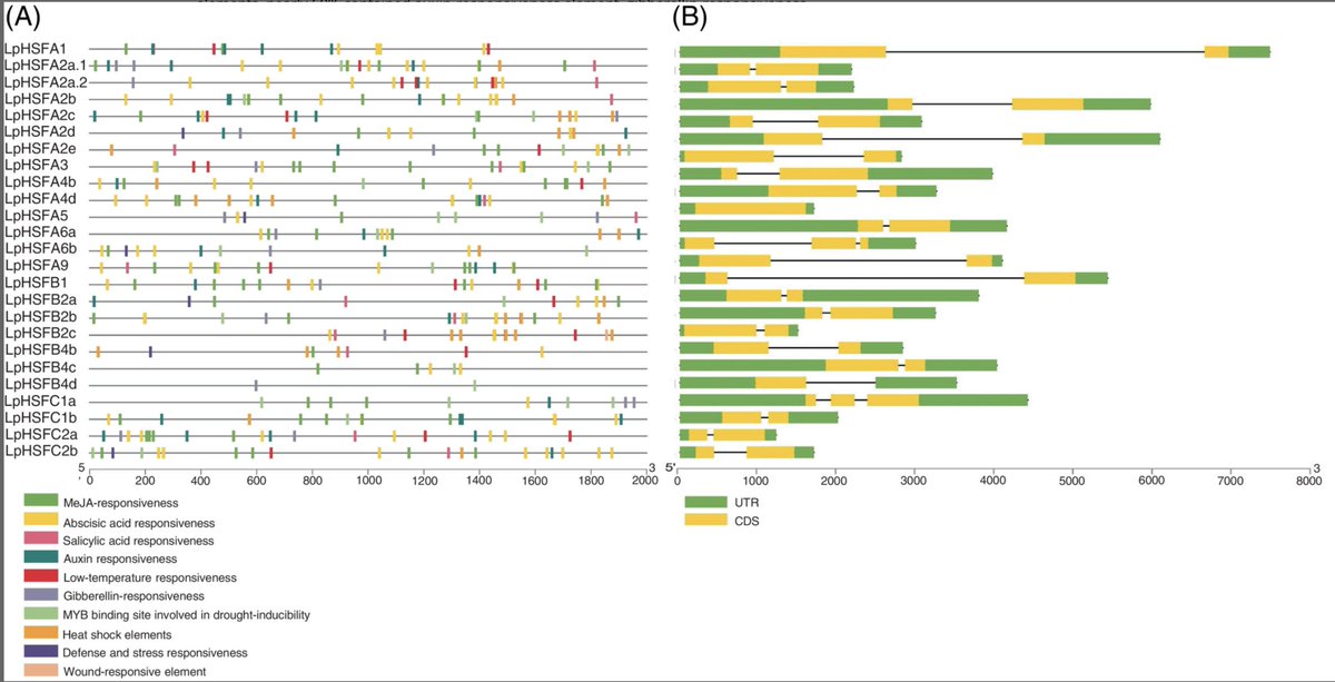 Physiologia Plantarum tweet media