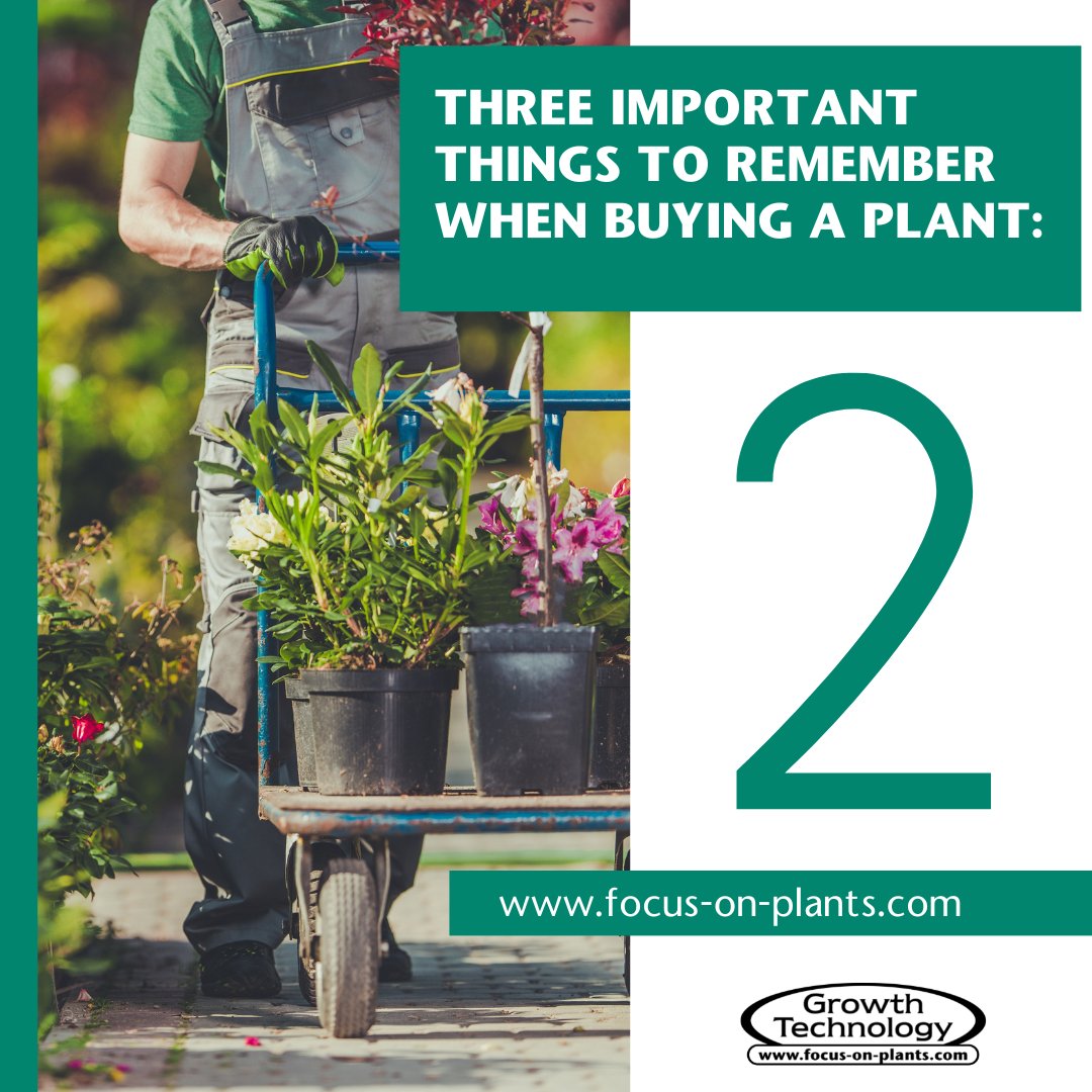 Focus On Plants tweet media