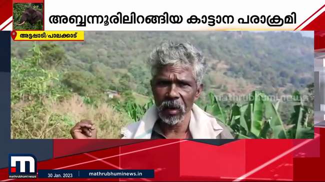 mathrubhuminews's tweet photo. അട്ടപ്പാടിയിൽ ചെറുധാന്യകൃഷിയും കോഴിക്കൂടും തകർത്ത് കാട്ടാനയുടെ പരാക്രമം| Mathrubhumi News https://t.co/KpPHBODB7S https://t.co/VESNHLgknB