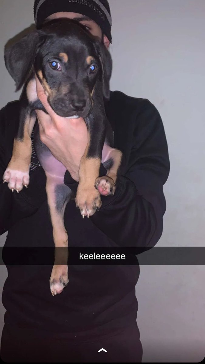 lb36five's tweet image. 