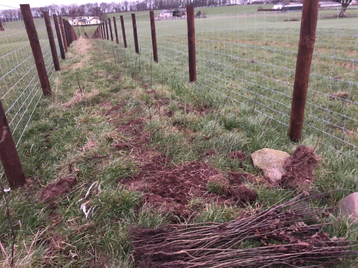 Craig Brough tweet media