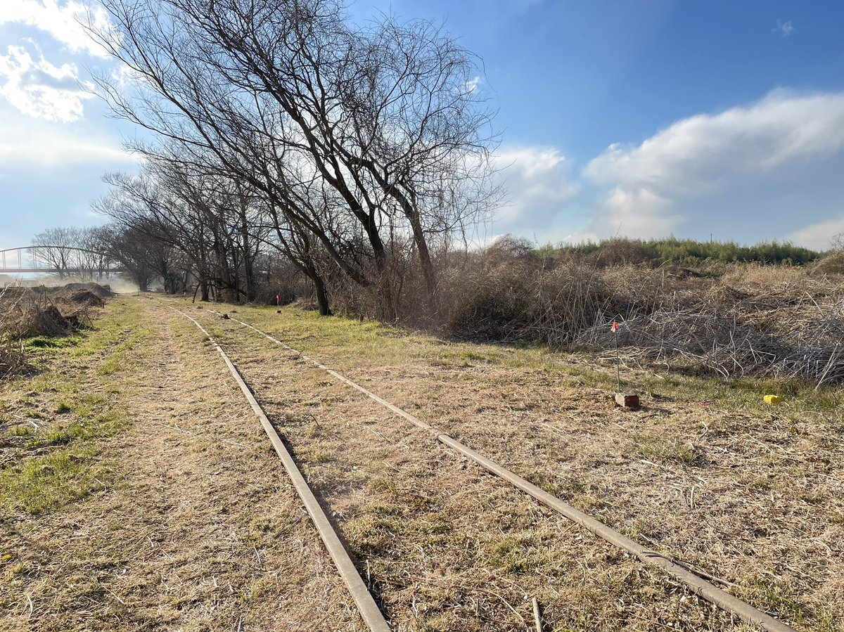 railwayline's tweet photo. 久しぶりの入間川河川敷エリア
最も郷愁を感じる場所・季節

撮影日 2023/01/30

#安比奈線 #西武安比奈線 #廃線 #廃線路 https://t.co/xMlIkRHvz9