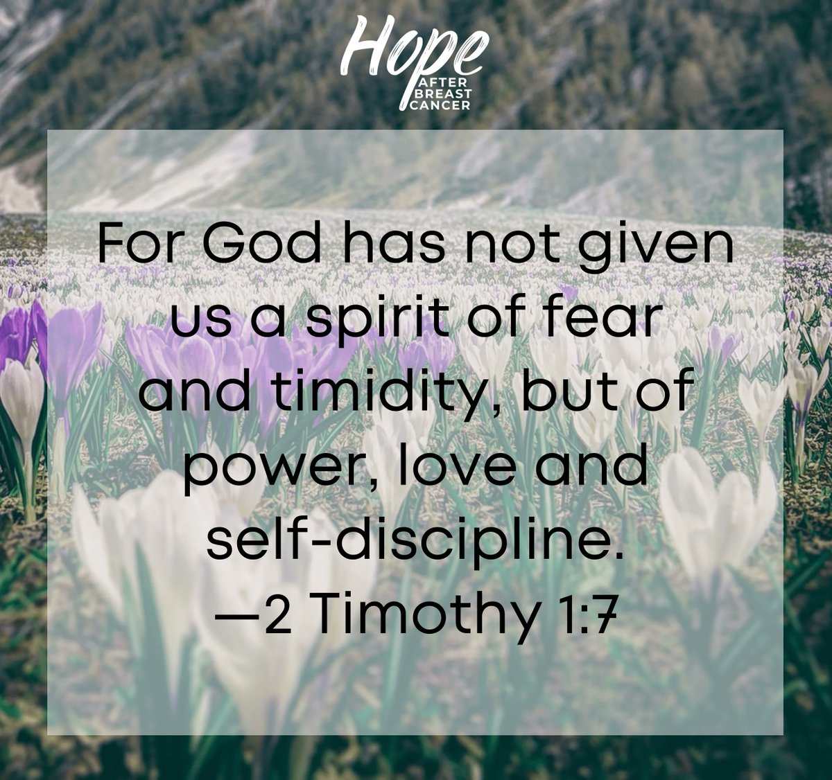 HopeAfterBC tweet picture