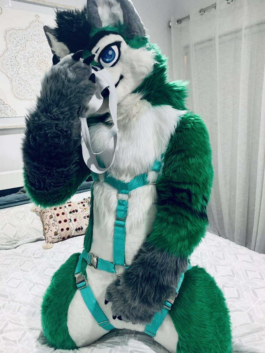 Torani_Wolf's tweet photo. Mrff… You smell nice~ 💜 https://t.co/mPobqDCK0g