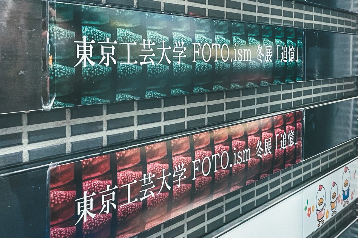 IsmFoto's tweet photo. FOTO.ism 2023年冬展「追憶」明日からっ！
･
いよいよ明日11時から冬展「追憶」が始まります！会場は渋谷ギャラリールデコ3.4Fです！渋谷にお越しの際はぜひルデコにもお立ち寄りください、皆様のご来場心よりお待ちしております！
･
#fotoism #写真展 #東京工芸大学 
#春からTPU #春から東京工芸大 https://t.co/I8ONN3Uusv