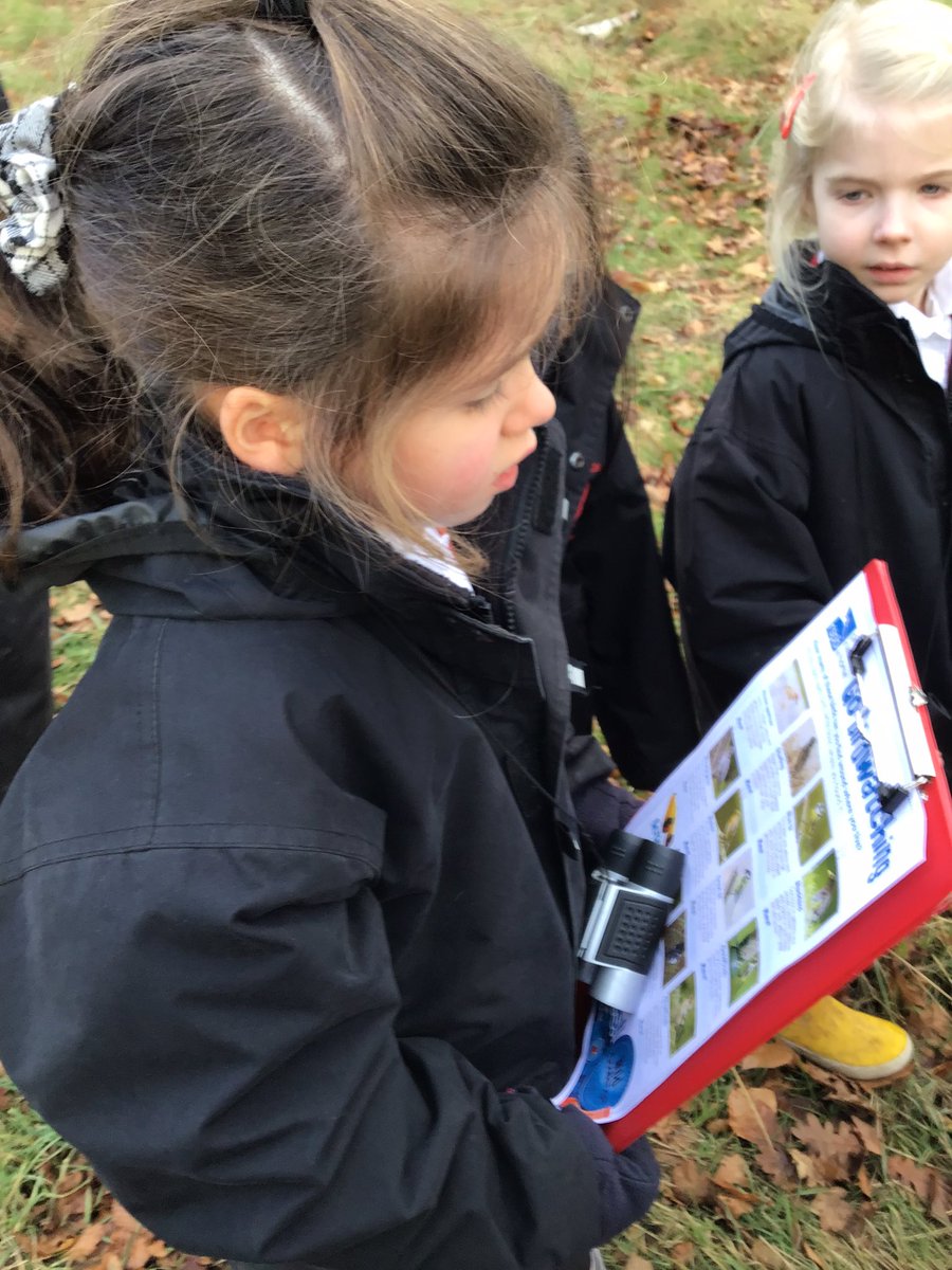 PipersPrePrep's tweet image. RSPB Big Bird Watch!