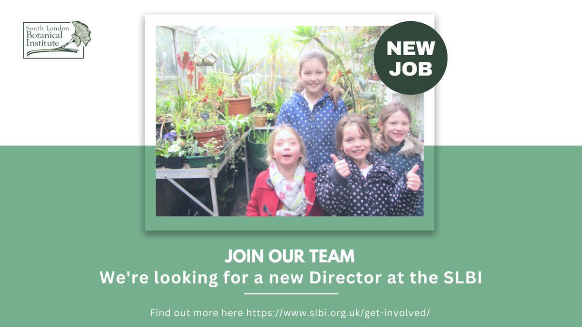 SLBotanicalInst's tweet photo. The SLBI is seeking to recruit a director to lead the charity & deliver operations. Exciting new opportunity & the chance to work with a great team in South London!
#slbi
#recruitment
#directorrole
#botany
#Tulsehill
#Westnorwood
#Southlondon
#plants
#charity
#charityjobs https://t.co/EMGUqV6Zke