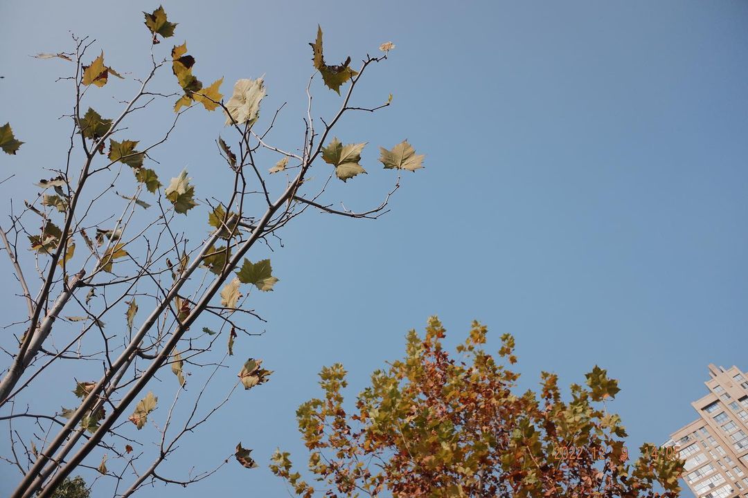 Amy198805's tweet photo. It's the season of farewell https://t.co/JLqONdUU2X