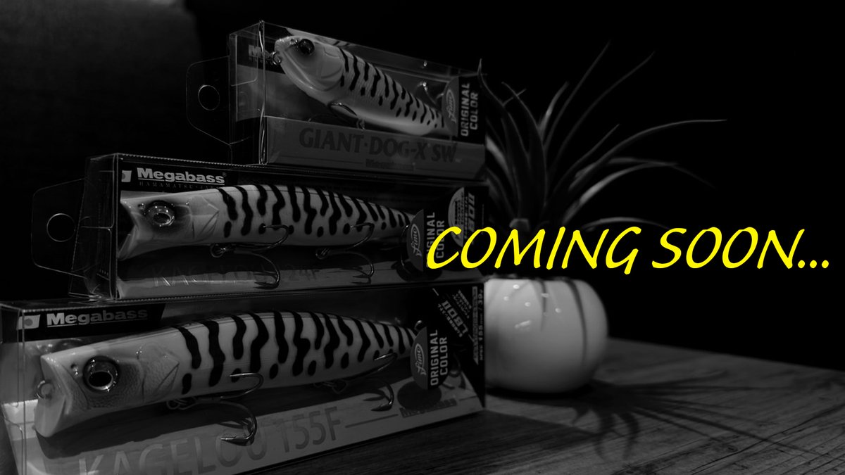 fimosw's tweet image. COMING SOON...

#fimoショップ